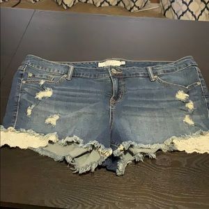 Torrid Shorts